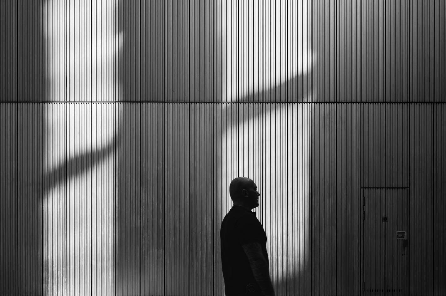 City Silhouette: Shadow and Structure