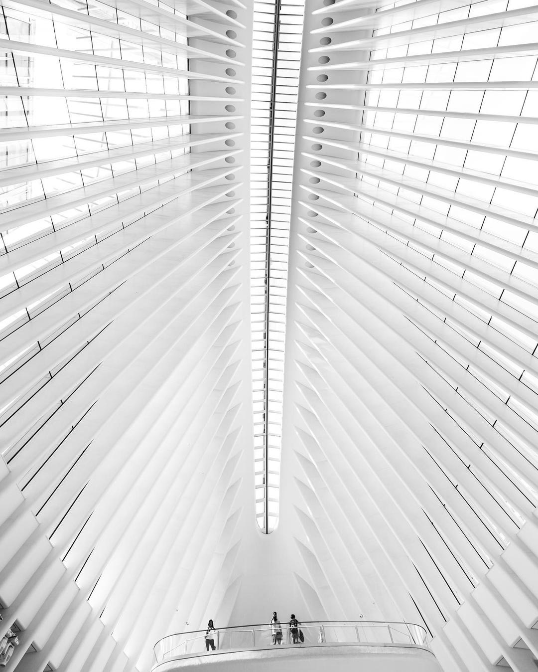 Product gallery 2933